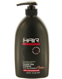 Шампунь Hair Academy dry & coloured hair 900 мл